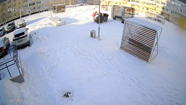А вы сдали елку переработку ?