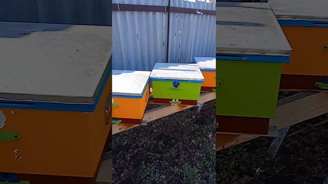 VID20250307152214.mp4