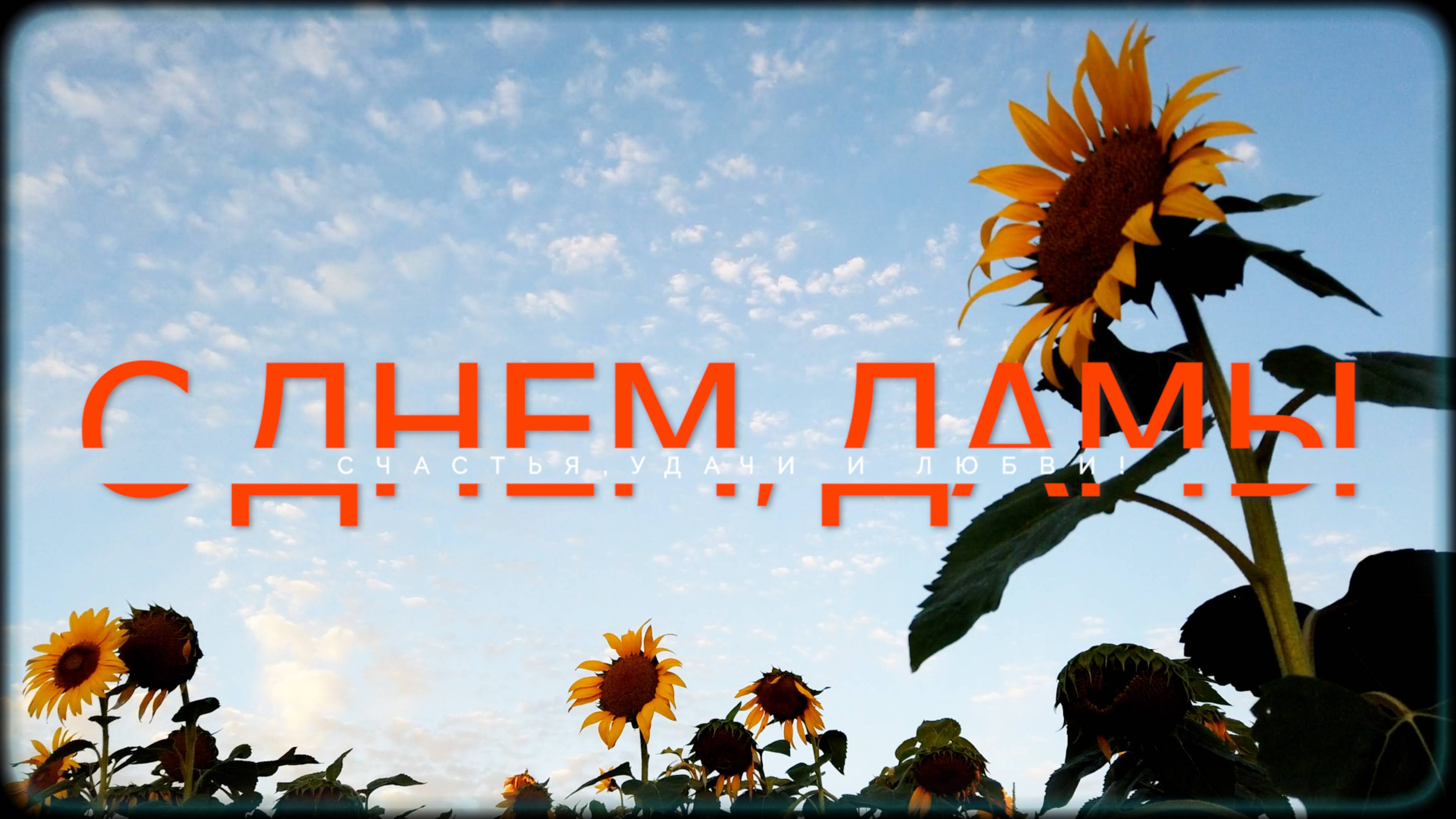 Пингвины: операция "8 марта".mp4