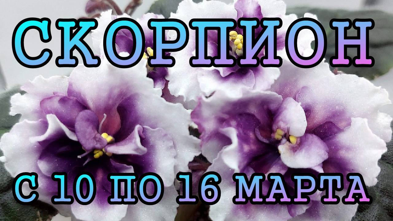 СКОРПИОН таро прогноз на неделю с 10 по 16 МАРТА 2025 года.