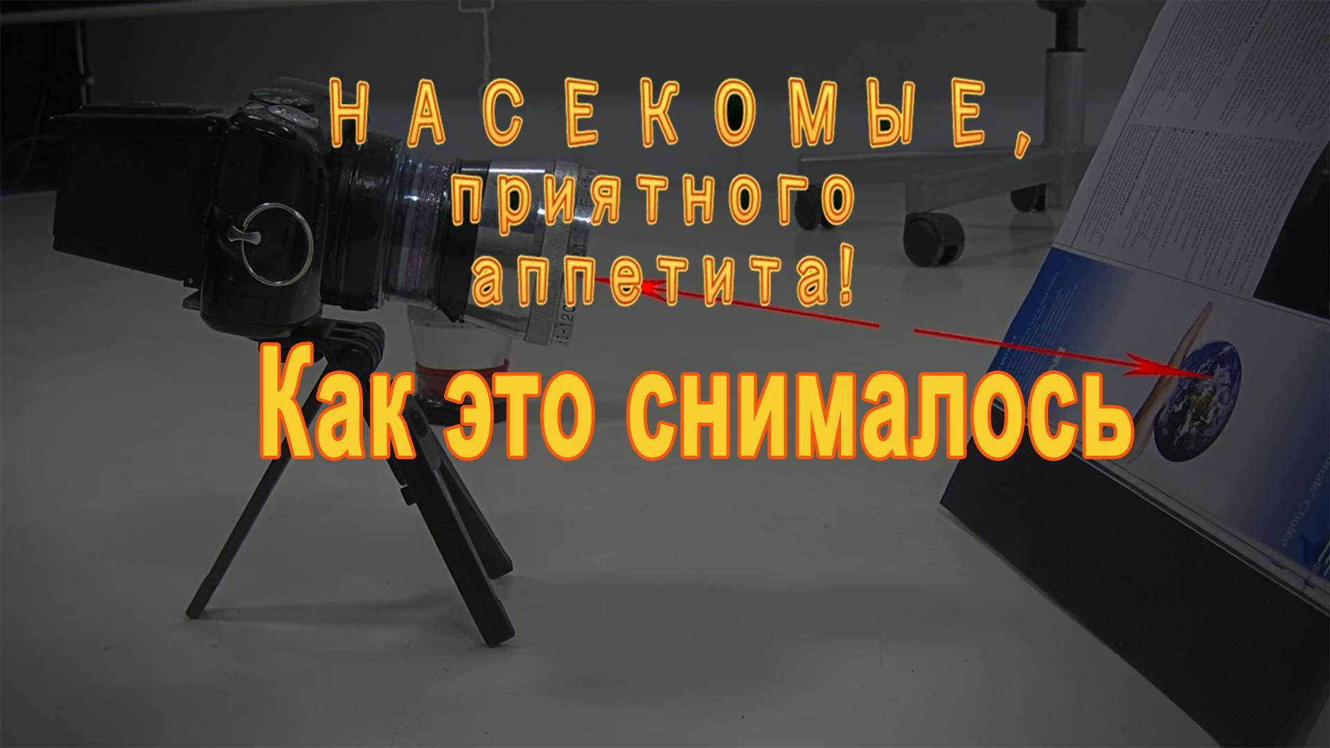 0- Пролог