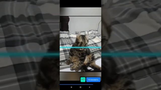 Screenrecorder 2022 10 31 13 45 25 952 1