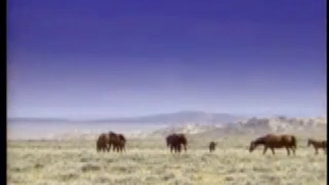 Sitting Bull Biography Part 1