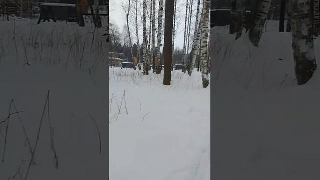 VID-20250307-WA0044
