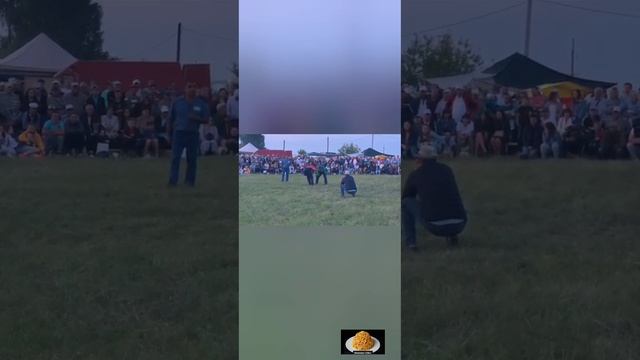 1562.mp4