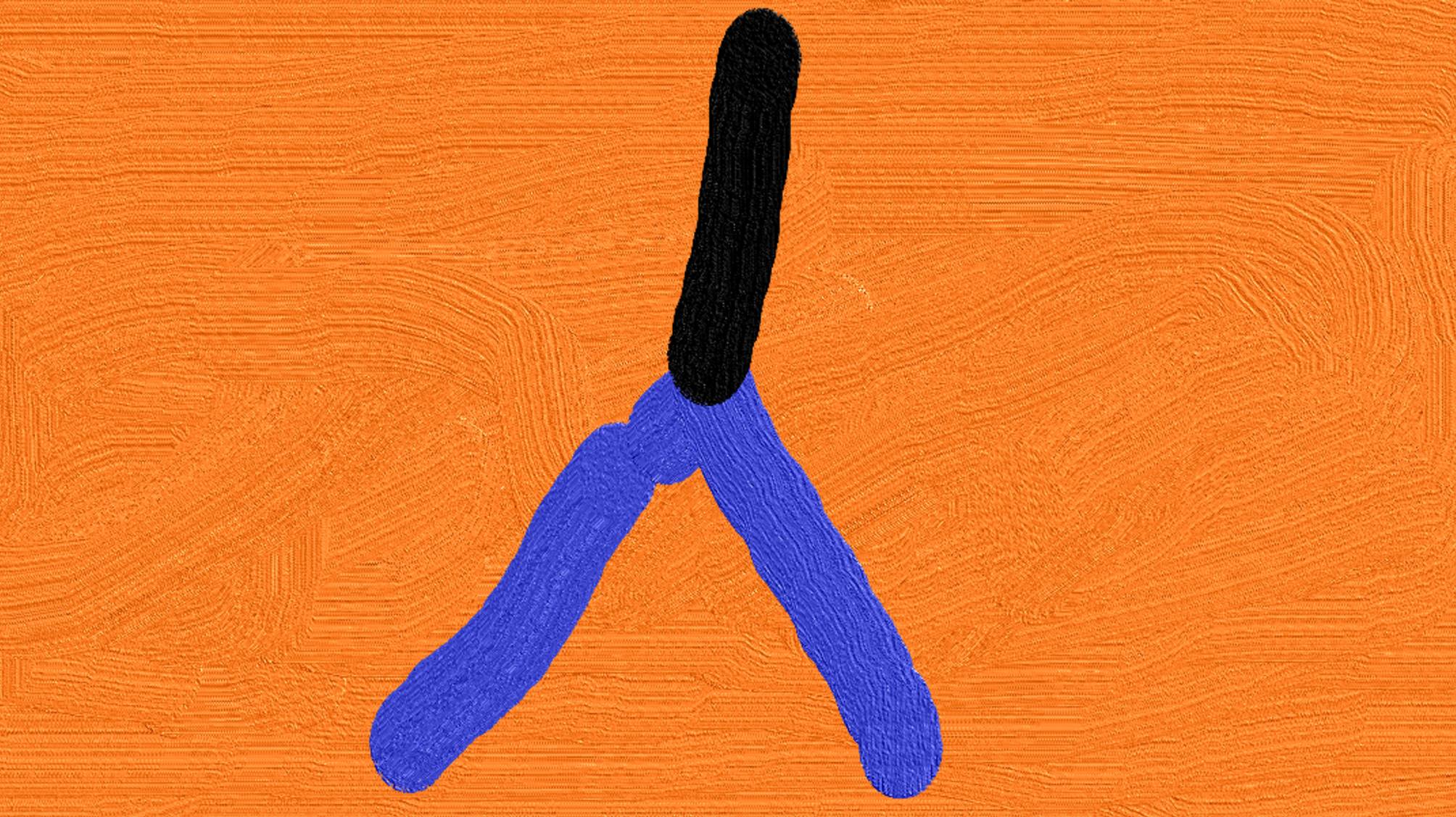 как научится трюкам  с  ножом бабочкой