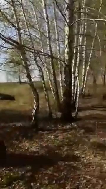 Эндуро покатушки на коркинском разрезе