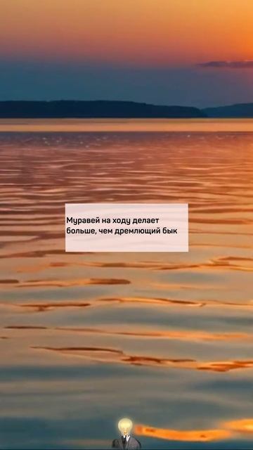 Мудрость в Мгновениях: Вдохновение на Каждый День
