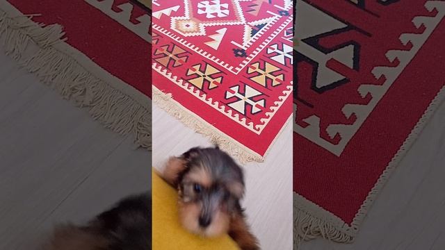 1000145941.mp4
