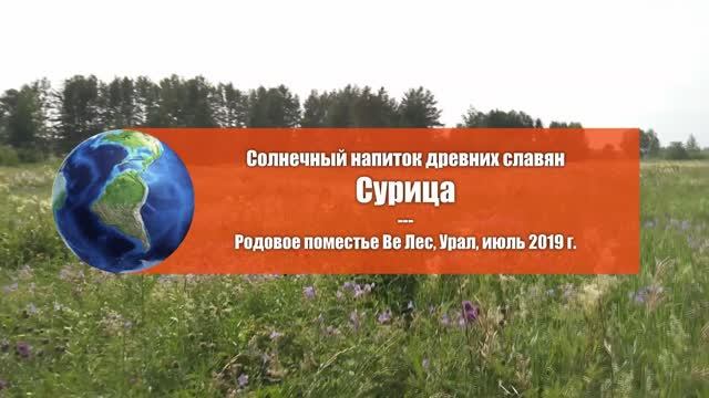 Сурица - древний солнечный напиток славянских богов