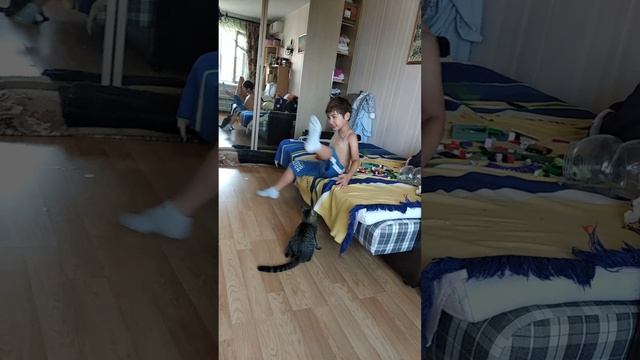 с котиком