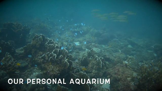 Diving in Koh Racha Yai, Thailand