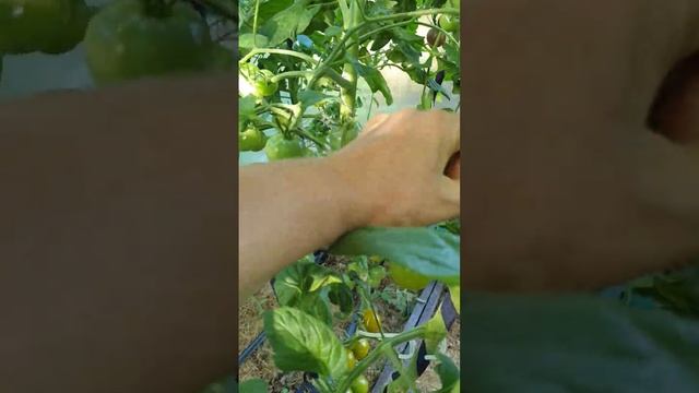 5 часть