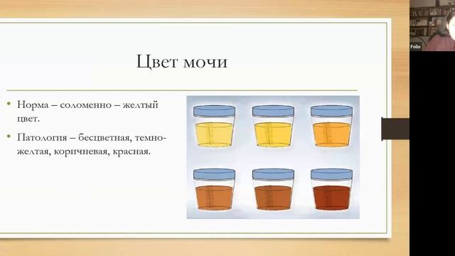 6 Пропедевтика. Исследование мочевыделительной системы