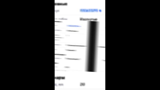 1000017907.mp4 (Собака смотрит на электроснабжение дома А-фрейм)