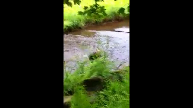 Тарзанка не выдержала