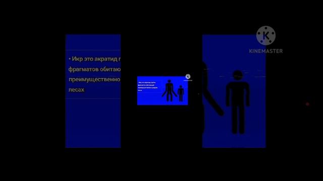магнитошахтинская область третья часть 1 серия