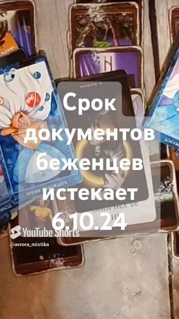 Видео WhatsApp 2025-03-07 в 11.20.27_83988320