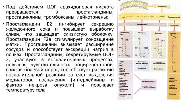 13 Боль