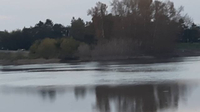 Иркутск.Остров "Юность".Утки.Осень.Электричка