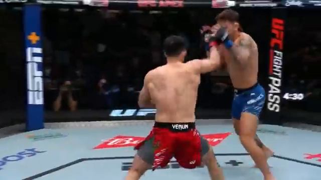 Лучшие моменты турнира UFC Вегас 103.