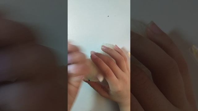 ми-ми-мишный котик, Таба сквиш,милый котик)