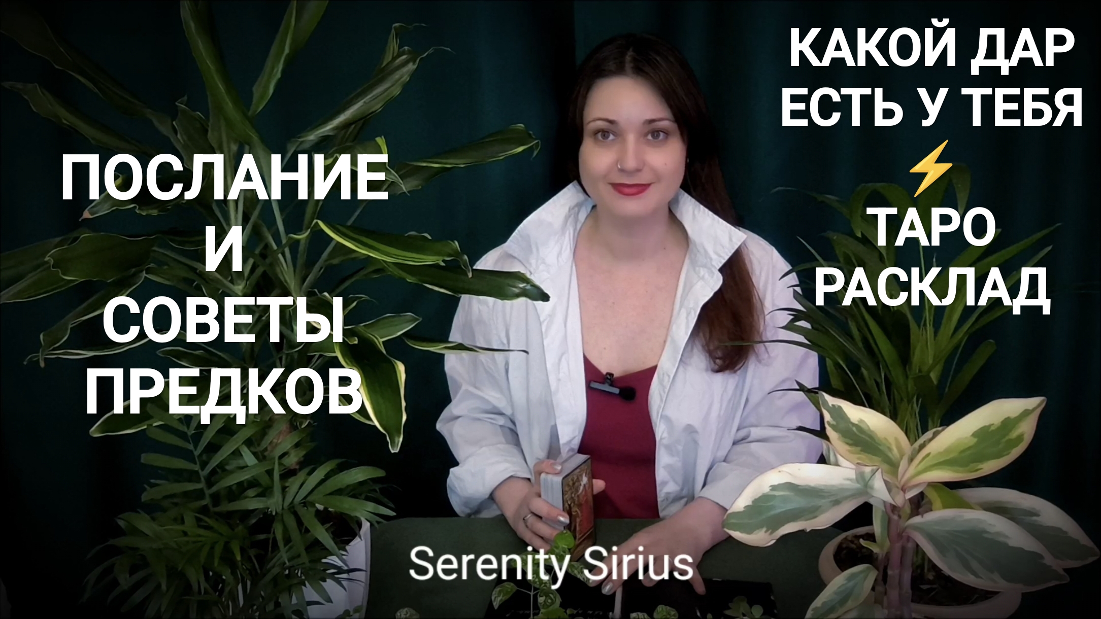 ПОСЛАНИЕ И СОВЕТЫ ПРЕДКОВ🤍 КАКОЙ ДАР ЕСТЬ У ТЕБЯ ⚡расклад на будущее⚡ что важно знать сейчас⚡