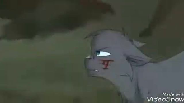 Коты воители. Белогривка и Остролап.