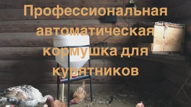 Профессиональная автоматическая кормушка для курятника
Подробный обзор .