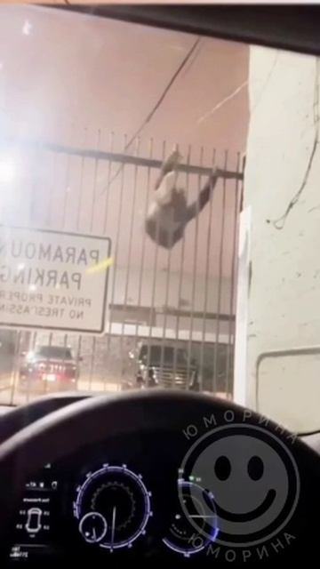 Сильвестр Сталлоне в фильме Побег 😂