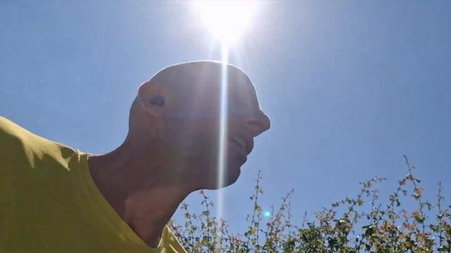 Running shoe review of Asics gel nimbus 25