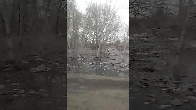 Семей. Бобровка подтопление 29.03.18г.