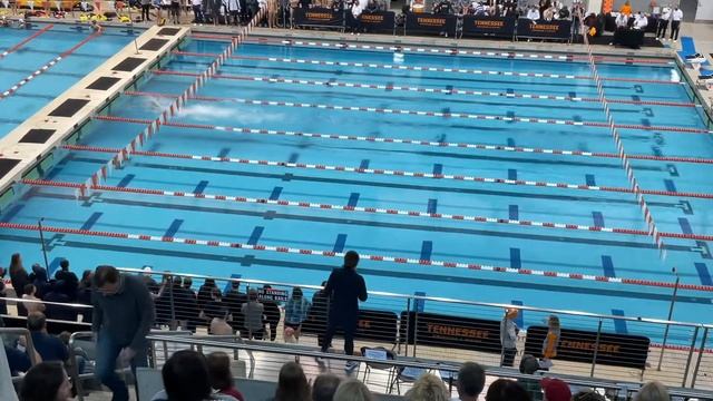 Time Trial 50 FR Brownstead