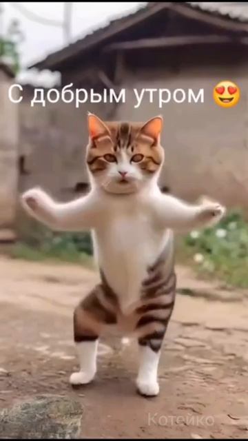 С добрым утром!