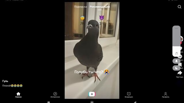 1000000576.mp4