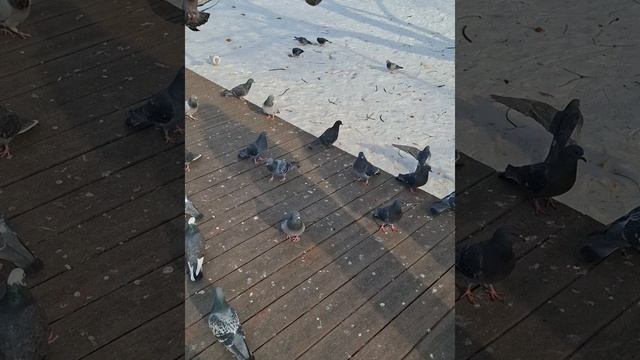 Весенняя прогулка на пруд❤️🔥🌞Таисия, Маргарита, папа и мама в эфире🌞