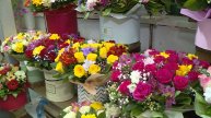 Какие цветы предпочитают севастопольцы на 8 марта?