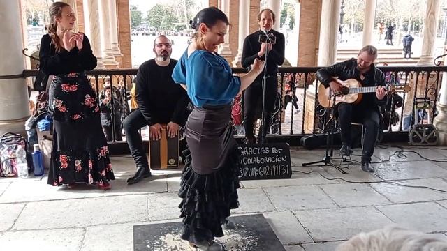 La Flamenco Dance Show  February 2023 Ep.10 Dou | Plaza España Sevilla #españa #sevillanas #flamenc