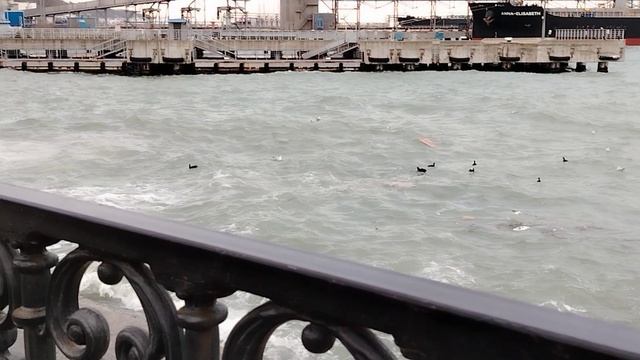 1000000394.mp4