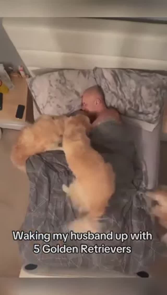 Доброго утра