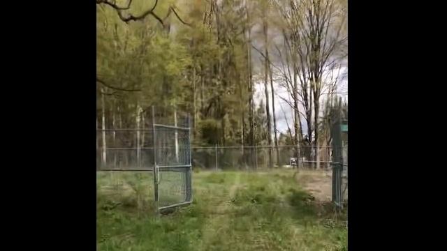 GSA Auctions  FAA Former Radio Tower Site Tour