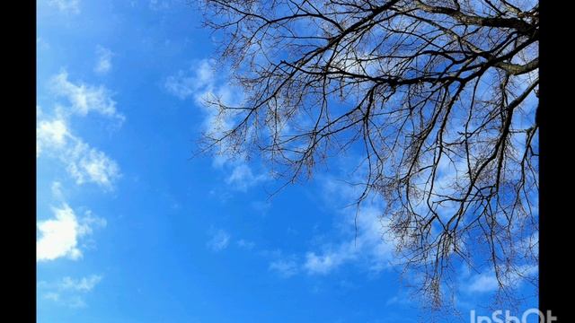 07-03-2025 Прогулка на реку... Картина здесь меняется каждый день, ещё вчера был снег, сегодня толь