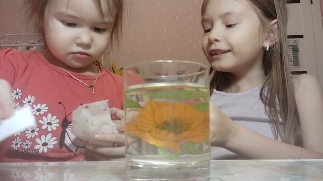 Даша и Маша открывают боксы