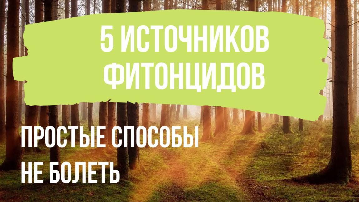 Фитонциды и лесотерапия для поддержки иммунитета.