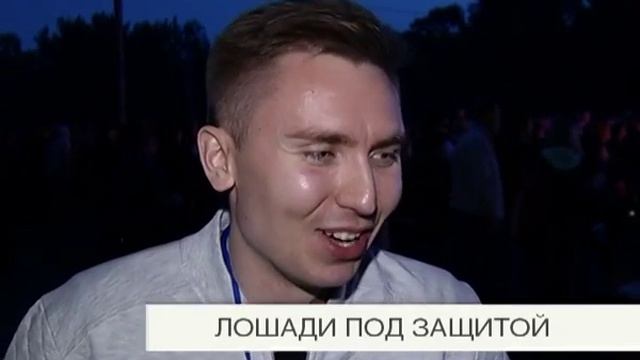 Лошади под защитой