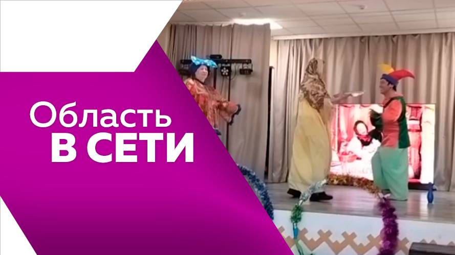 Программа "Область в сети" №294