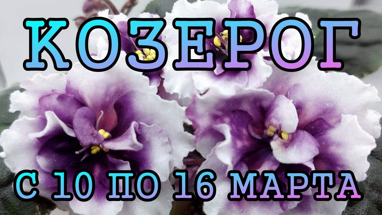 КОЗЕРОГ таро прогноз на неделю с 10 по 16 МАРТА 2025 года.