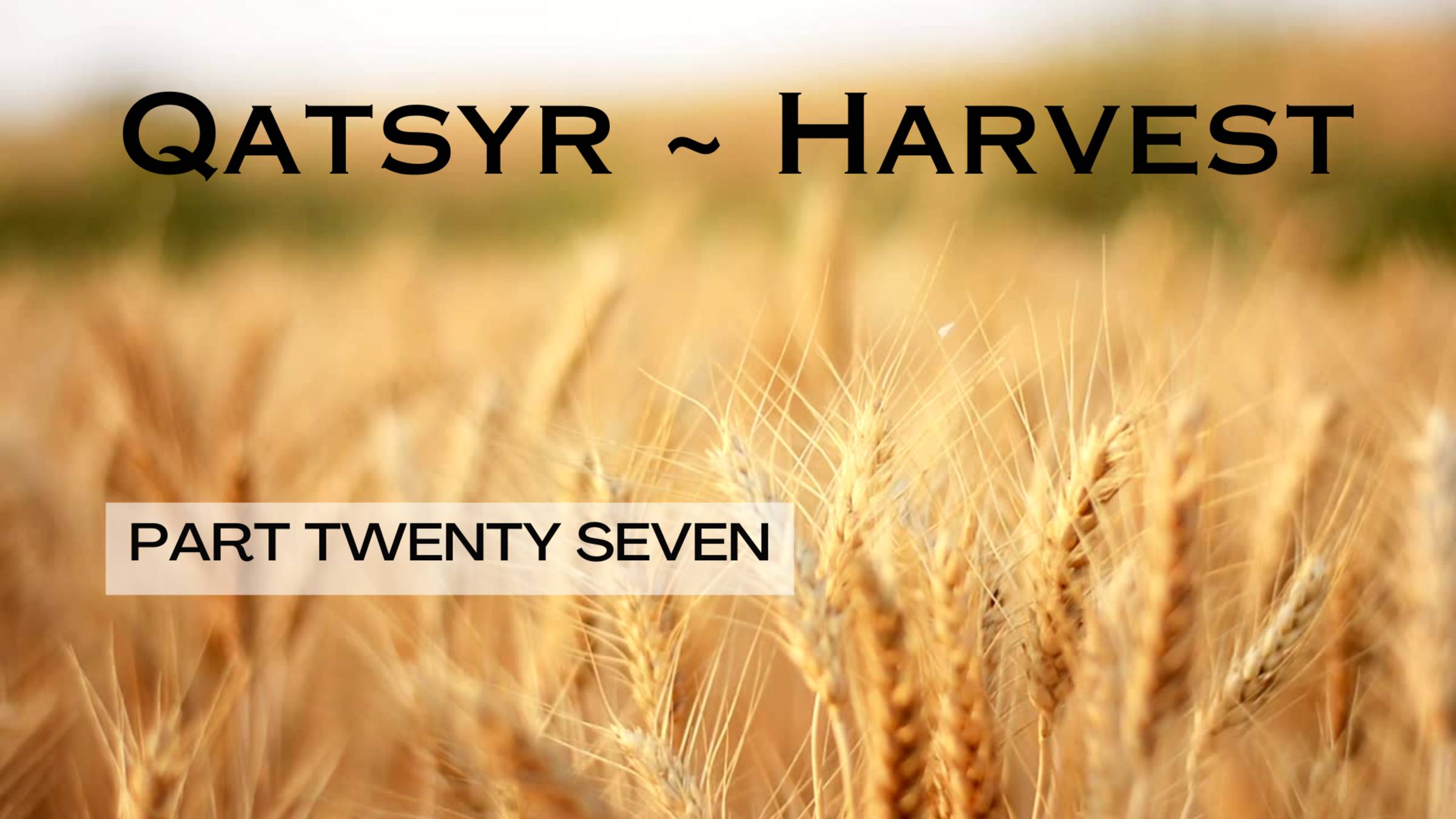 Qatsyr ~ Harvest Part Twenty Seven 06 March 2026