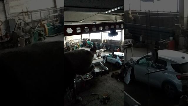 цех.mp4