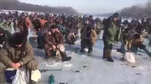 Поджопники собрались.😁